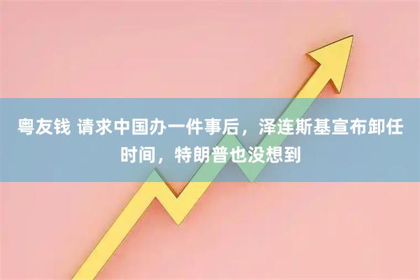 粤友钱 请求中国办一件事后，泽连斯基宣布卸任时间，特朗普也没想到
