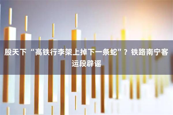 股天下 “高铁行李架上掉下一条蛇”？铁路南宁客运段辟谣